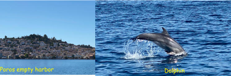 Poros empty harbor Dolphin